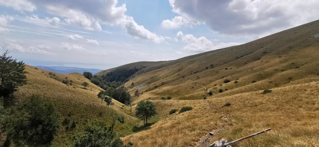 Villa Relax House Nizic Drazice Esterno foto